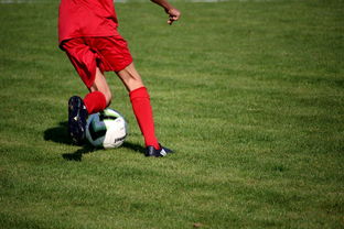 星空体育app下载-意甲裁判语义分析系统在比赛判罚中的应用研究，意甲第三轮裁判
