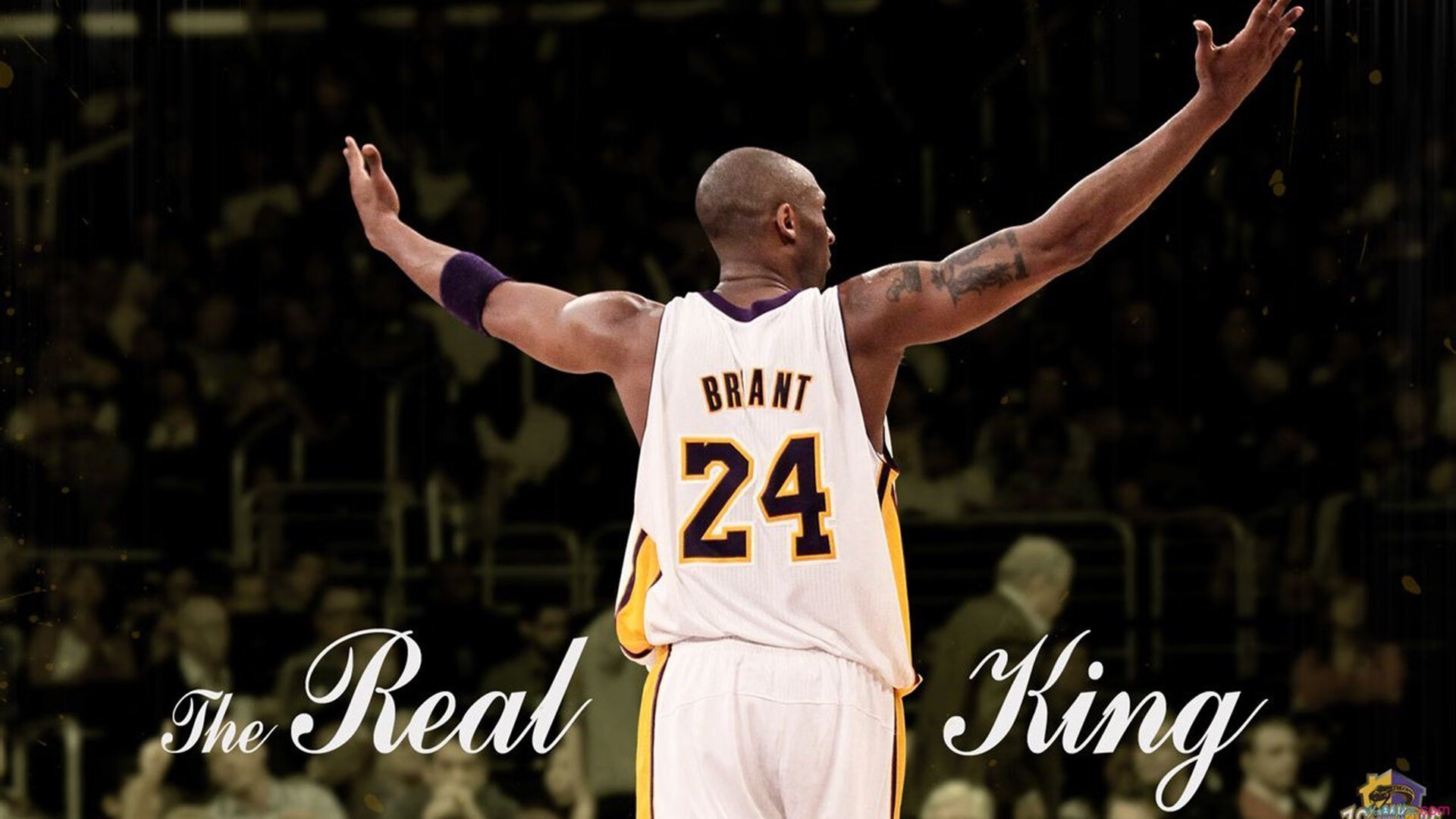 星空体育官网-攀岩运动吸引力增强参与度提升，攀岩运动吸引力增强参与度提升的原因